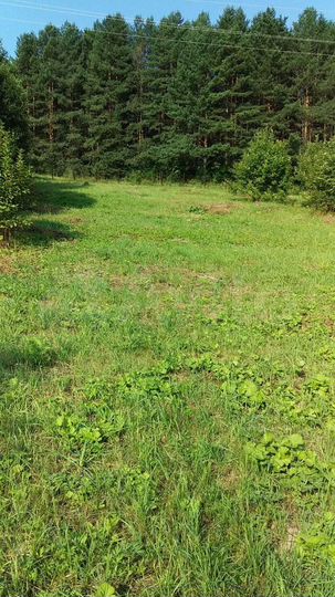 Участок 25 сот. (ИЖС)