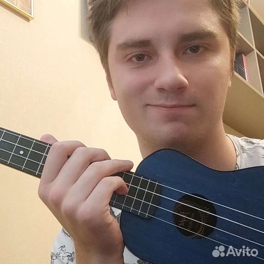 Репетитор IB ESS