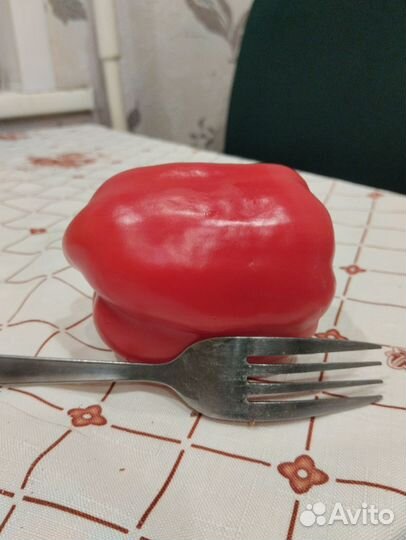 Семена сладкого перца