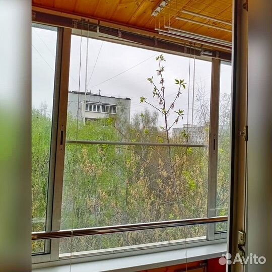 Москитная сетка за 1 день