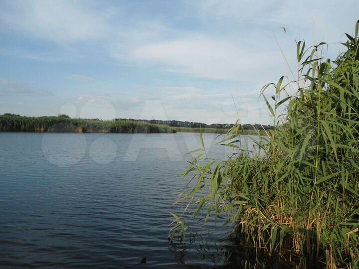 Участок 14 сот. (ИЖС)