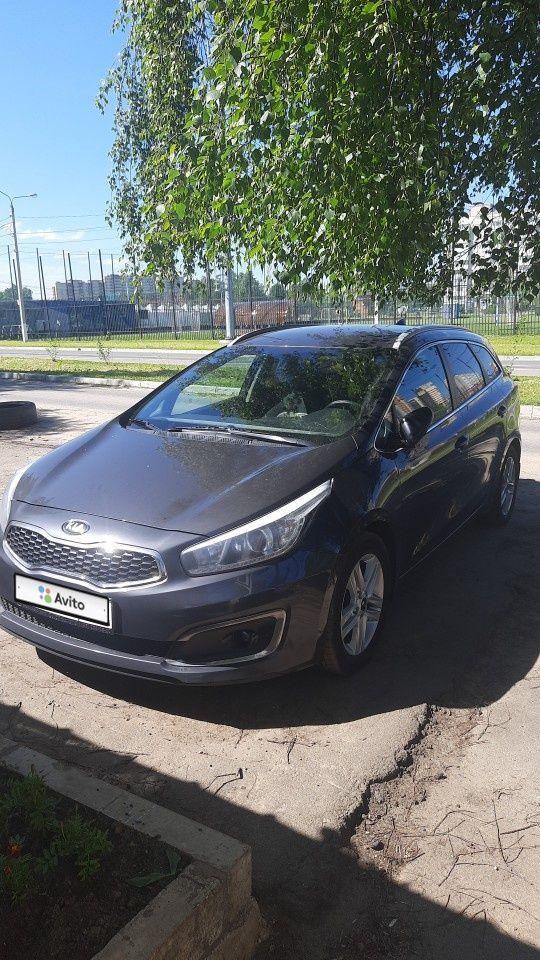 Kia Ceed: фото владельца