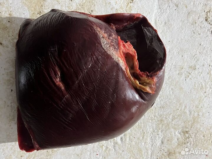 Мясо говядина для собак корм