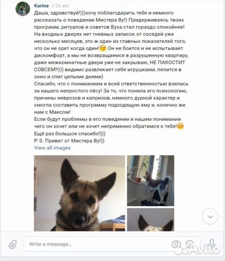 Кинолог/Дрессировка и воспитание собак