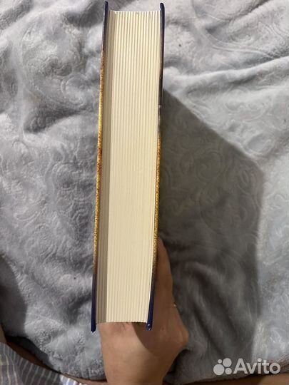 Собор парижской богоматери Виктор Гюго