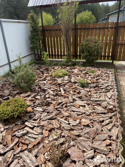 Кора сосны мульча
