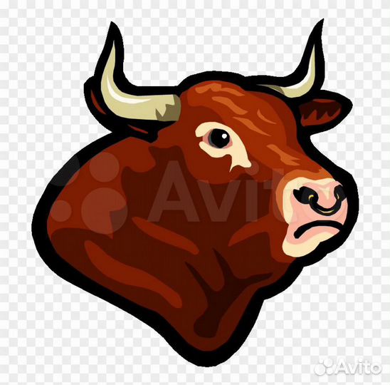 Бесплатно, кости говядины, мясо мало для собак