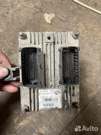 Эбу,Мозги Fiat Albea