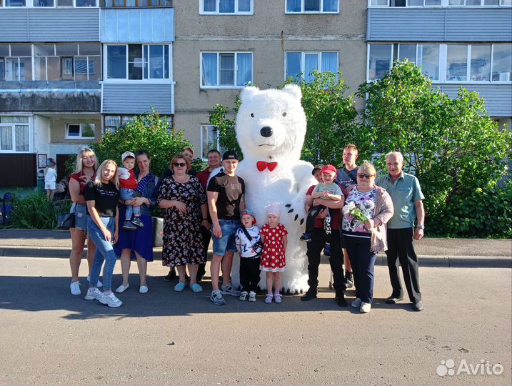 Анимация ростовая кукла Мишка поздравления