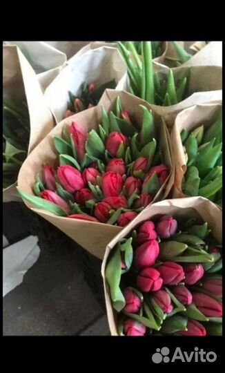Тюльпаны к 8 марта