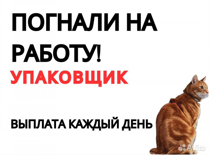 Упаковщик без опыта на теплый склад оз0425