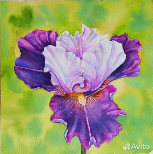 Картина акварелью много разные