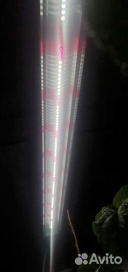 Фитолампа для растений