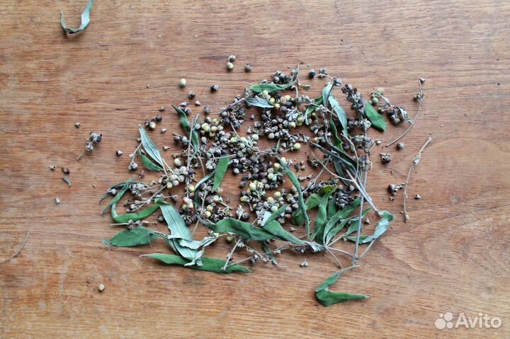 Прутняк (Витекс) Священный и Китайский, семена