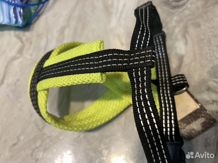 Шлейка для щенка