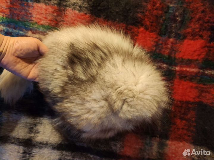 Шапка меховая детская