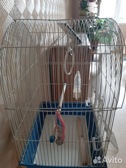 Клетка для волнистого попугая
