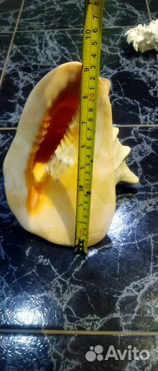 Ракушка для дэкора