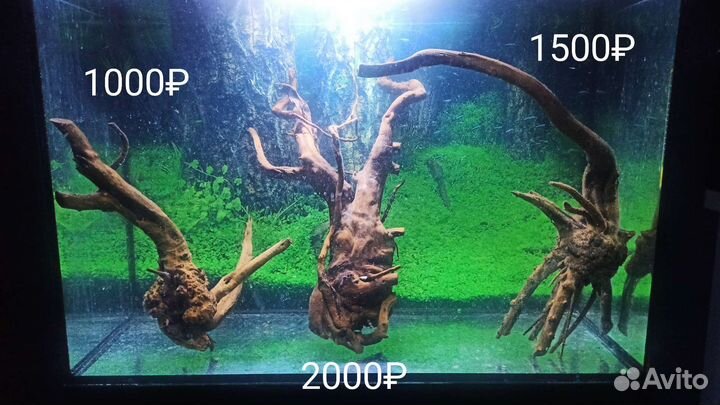 Коряги для аквариума