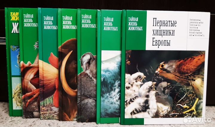 Книги энциклопедии 