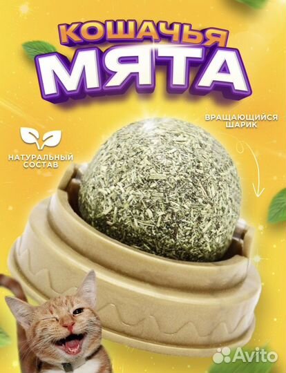 Кошачья мята шарик