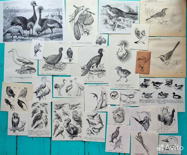 Наборы чёрно белые, фотореквизит