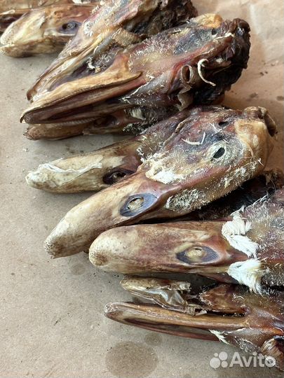 Лакомства для собак