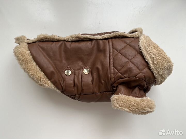 Одежда для маленьких пород собак