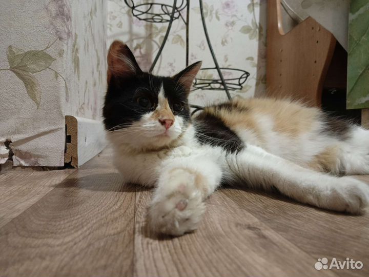 Дуся дочка Муси)