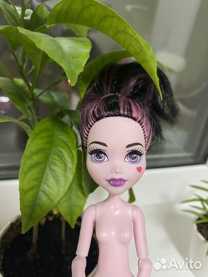 Куклы монстер хай, Дракулаура - балерина