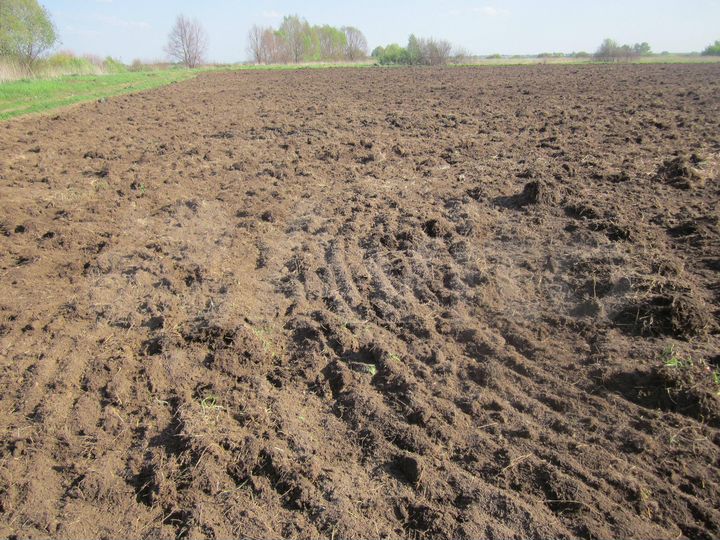 Участок 3,5 га (СНТ, ДНП)