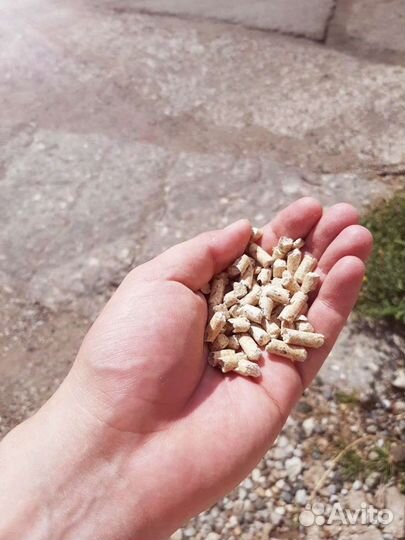 Топливные гранулы