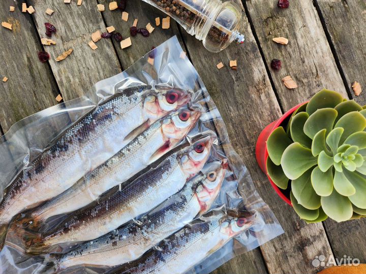 Омуль и не только