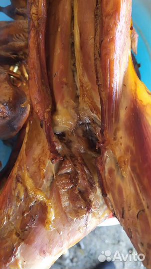 Копчёные утки,бройлеры домашние