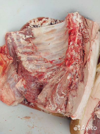 Мясо свинины ребра
