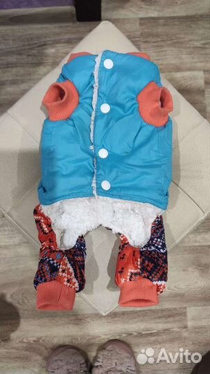 Комбинезон для маленькой собаки