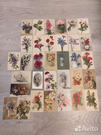 Открытки 1905-1919 годы, почтовые карточки