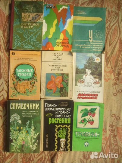 Д.П. Зуев. Дары русского леса. 1988 год