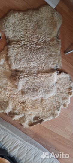 Овечья шкура