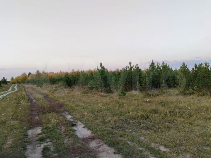 Участок 2 га (СНТ, ДНП)