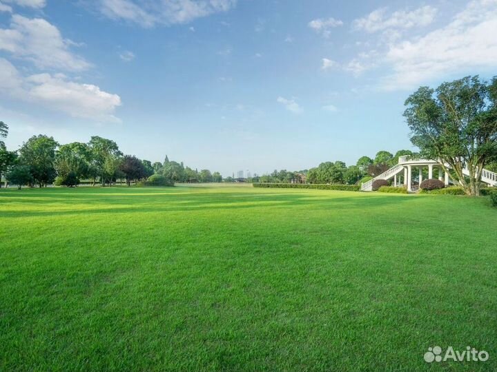 Рулонный газон, укладка, продажа