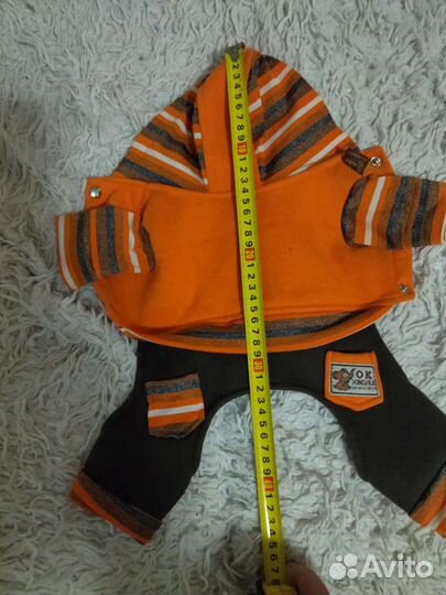 Боди для маленькой собачки