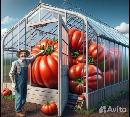 Теплица каркас 4-6метров