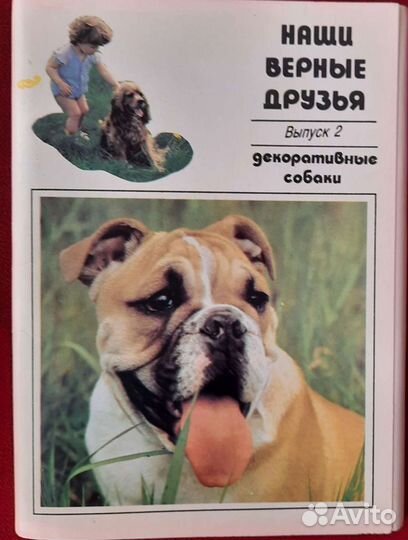 Открытки собаки набор