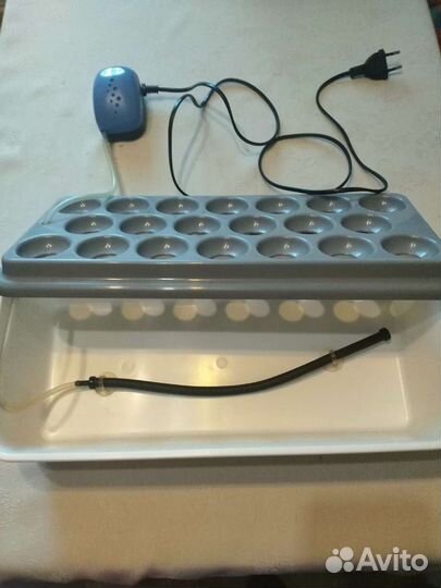 Прибор для выращивания лука 