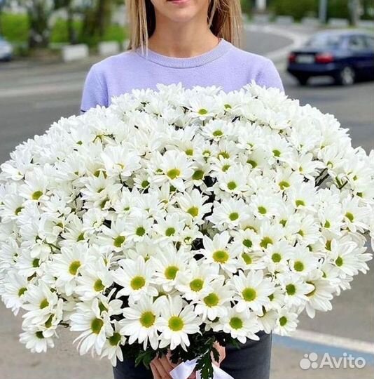 Хризантема. Букеты Цветы доставка