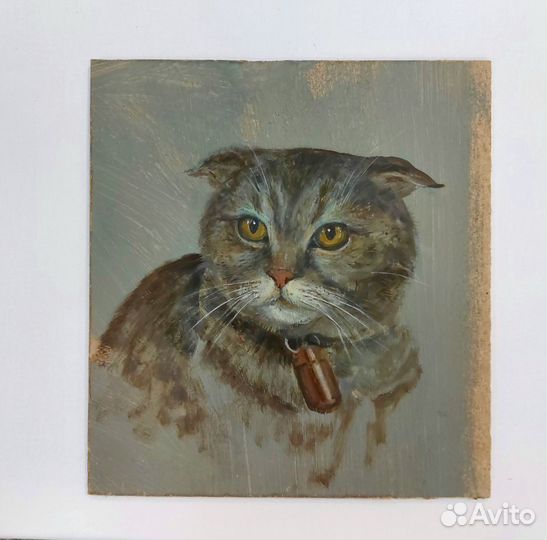 Картины с кошками и не только