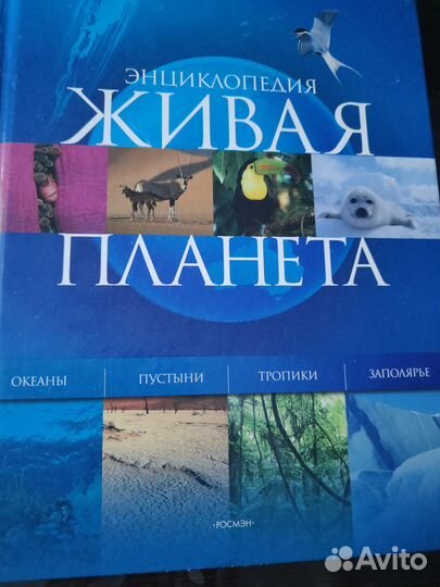 Детские вещи пакетом+книжки
