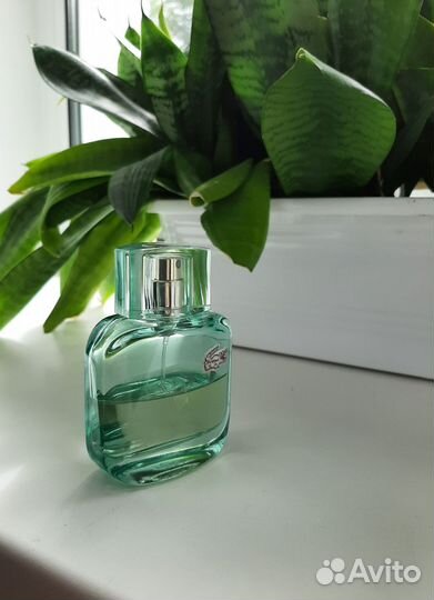 Женская парфюмерия Eau de Lacoste оригинал