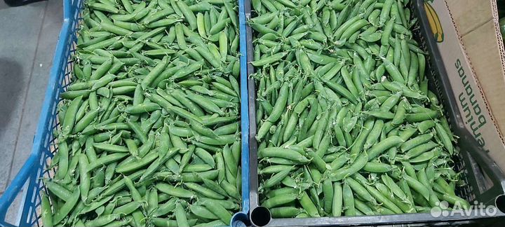 Свежий Горох сладкий с доставкой